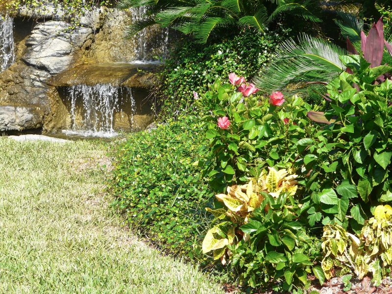 Water Feature Construction