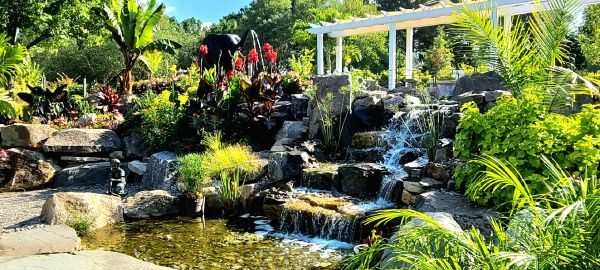 Fountain Pump Repair
