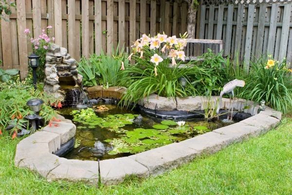 Water Garden Repair