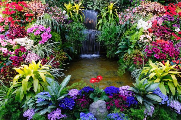 Garden Fountain Replacement