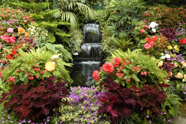 Garden Waterfall Design